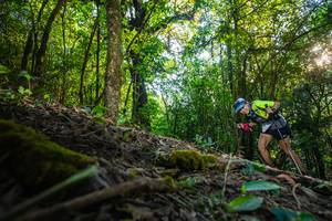 BIB: 540
                            <button type="button" onclick="openModal(16015394)" class="btn btn-primary btn-sm float-right btn-popup" data-toggle="modal" data-target=".modal-high-quality">
                        <i class="fas fa-shopping-cart"></i> Add to Cart
                    </button>
                                            <button type="button" onclick="isThisMe(16015394, true)" class="btn btn-success btn-sm float-right btn-popup btn-isme hidden" data-toggle="tooltip" data-placement="bottom" title="นี่คือรูปของคุณใช่ไหม คลิกที่นี่เพื่อเอาเข้าอัลบั้ม">
                        <i class="fas fa-plus"></i> Add to album
                    </button>
                    <button type="button" onclick="isThisMe(16015394, false)" class="btn btn-warning btn-sm float-right btn-popup btn-isnotme hidden">
                        <i class="fas fa-ban"></i> Remove from album
                    </button>